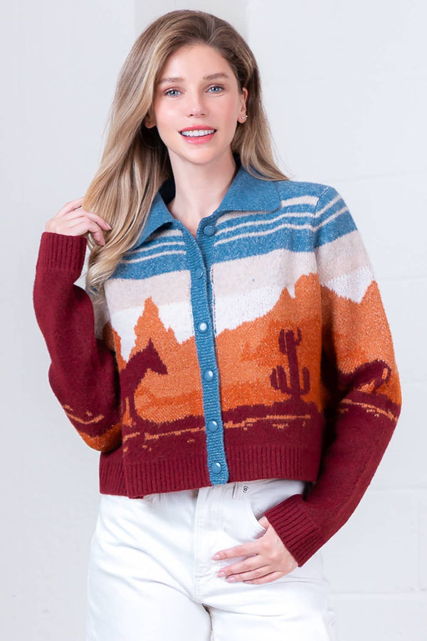 HWJ65155T-LONG SLV SWEATER CARDIGAN: BLUE MULTI / Contemporary / M