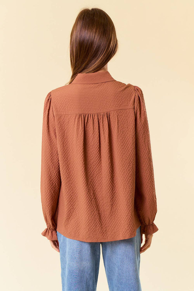 Textured Woven Long Sleeve Button Down Blouse