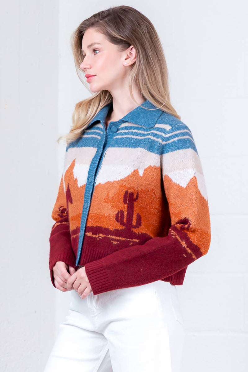 LONG SLEEVE SWEATER CARDIGAN