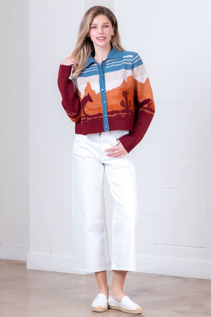 LONG SLEEVE SWEATER CARDIGAN