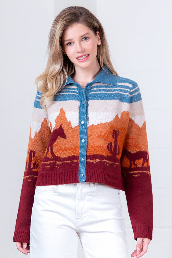 HWJ65155T-LONG SLV SWEATER CARDIGAN: BLUE MULTI / Contemporary / M