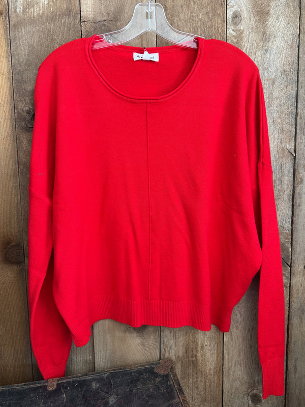 Red Soft Basic Crew sweater