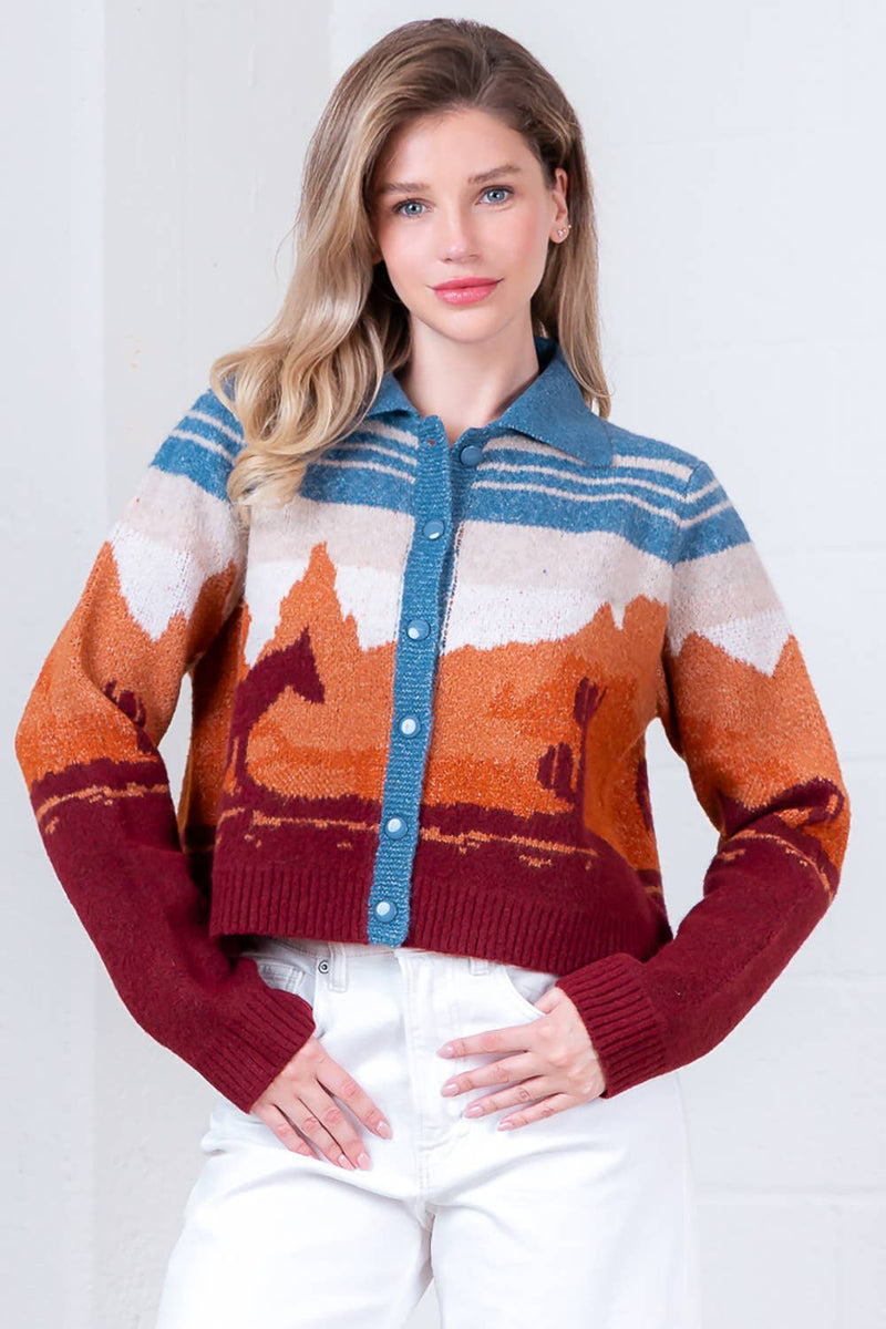 LONG SLEEVE SWEATER CARDIGAN